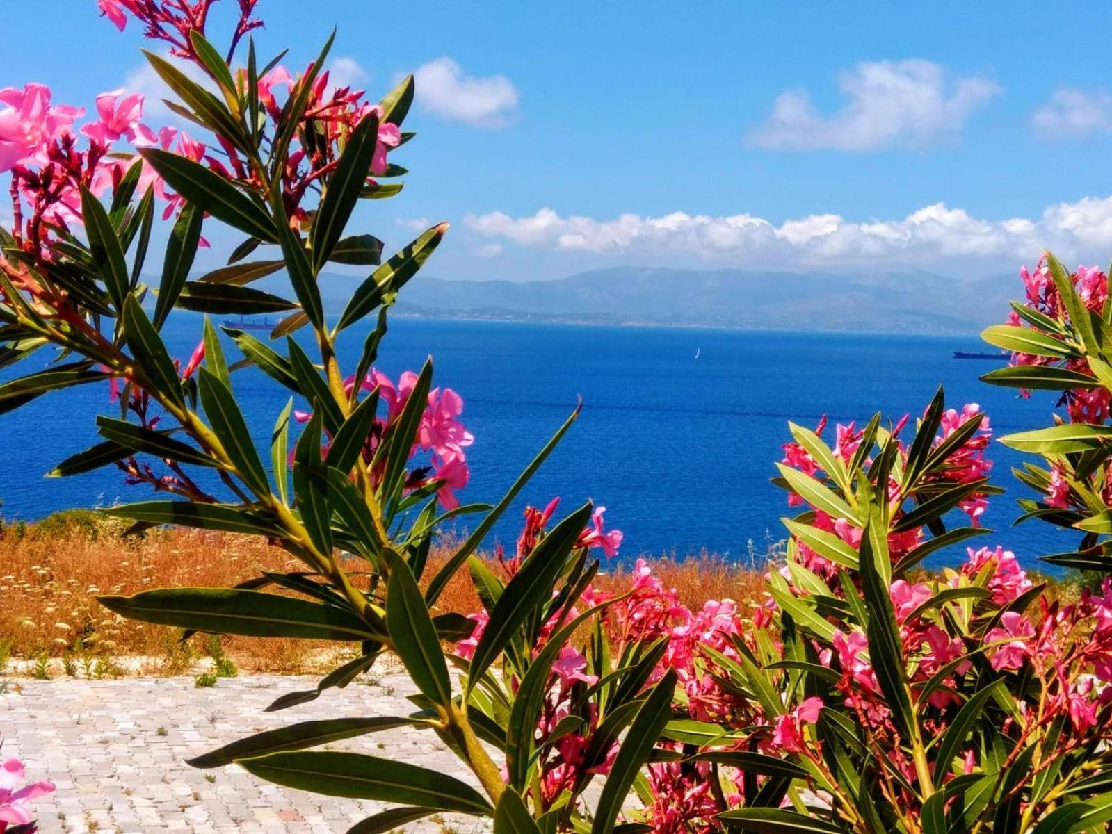 Mavi Panorama Villa Cesme Exterior photo
